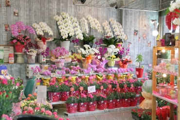 「花文」　（静岡県裾野市）の花屋店舗写真2